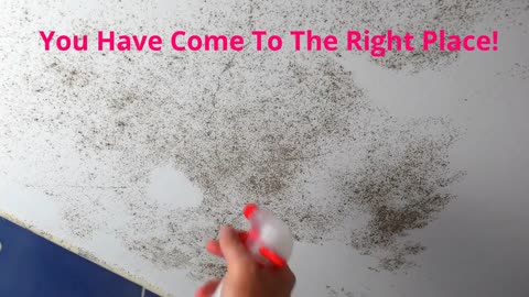 Rock Environmental, Inc. - Mold Remediation in Rochester, NY