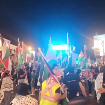 Niagara Falls has Fallen