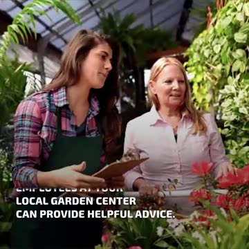 Fight Back Against Weeds.... LarryBroker.com – Larry@LarryGallegos.com