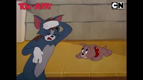 Tom and Jerry part 1