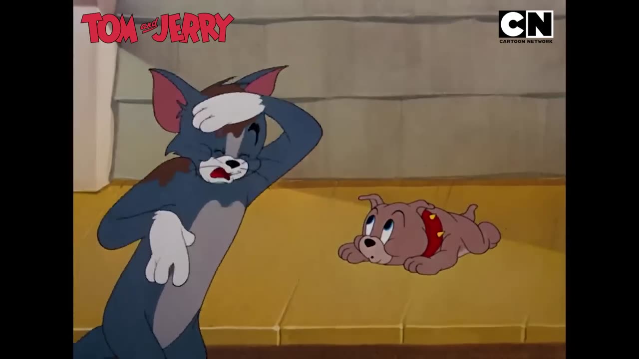 Tom and Jerry part 1