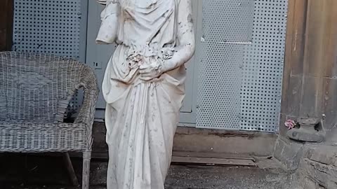 I was filming flowers when Sophie cam with another victim confessing her crime