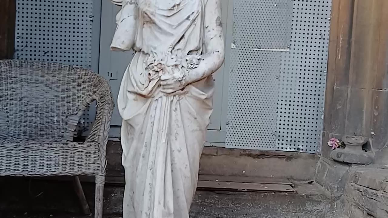 I was filming flowers when Sophie cam with another victim confessing her crime