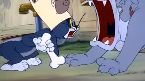 Tom and Jerry: Best Cartoon Highlights You Can't Miss!