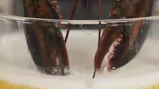 Breaking: Cooking Lobster In ONLY Butter