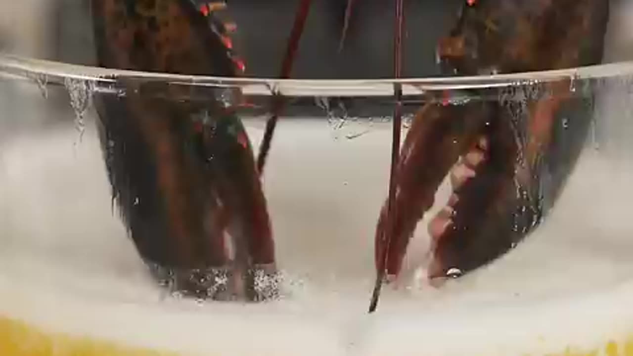 Breaking: Cooking Lobster In ONLY Butter