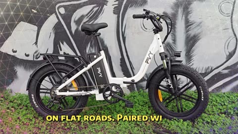 PVY LS20 Electric Bike 250W Motor 48V 16.5AH Battery 20 Inch Fat Tire Adult Electric Bike