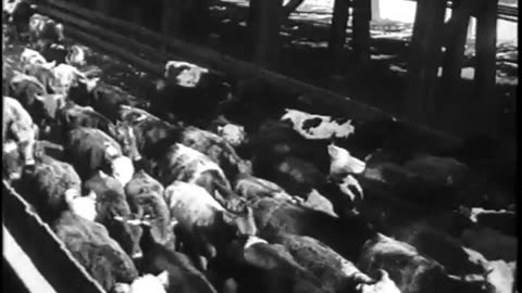 ON THE JOB. [PART I] - ON THE JOB. [PART I] - fc-fc-4329