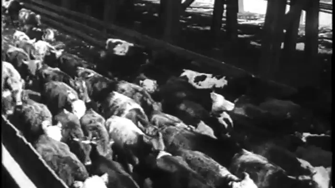 ON THE JOB. [PART I] - ON THE JOB. [PART I] - fc-fc-4329