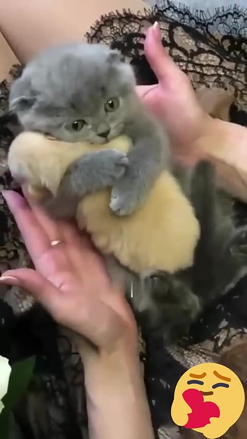 🤣🥺When girls get angry