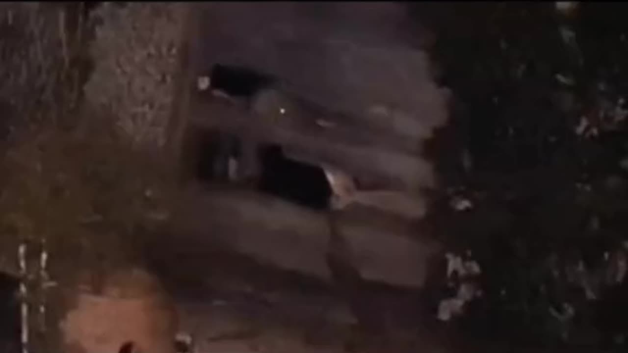 😲👹 Rake Creature Caught on camera | TheHauntingHour