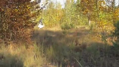 🍄🇺🇦 Ukraine Russia War | Mushroom Pickers in Ukraine | RCF