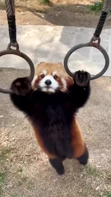 Snacking midway through workouts