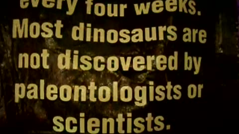 Many dinosaur fossils are found each week