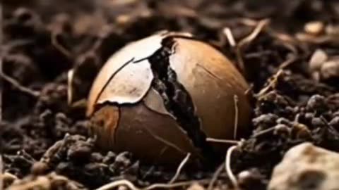 “When Growth Feels Like Pain | Motivational Shorts That Hit Deep 💔➡️🔥”