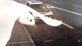 🔥📸 Most Unbelievable Moments Ever Caught On Camera! 😱🎥