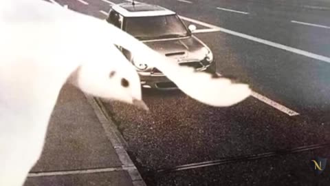 🔥📸 Most Unbelievable Moments Ever Caught On Camera! 😱🎥