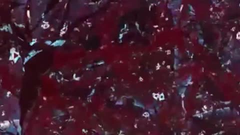 A Potential Breakthrough in Parkinson's Disease Treatment