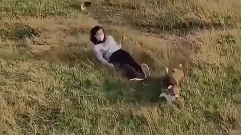 My dog's settings is only Zombie