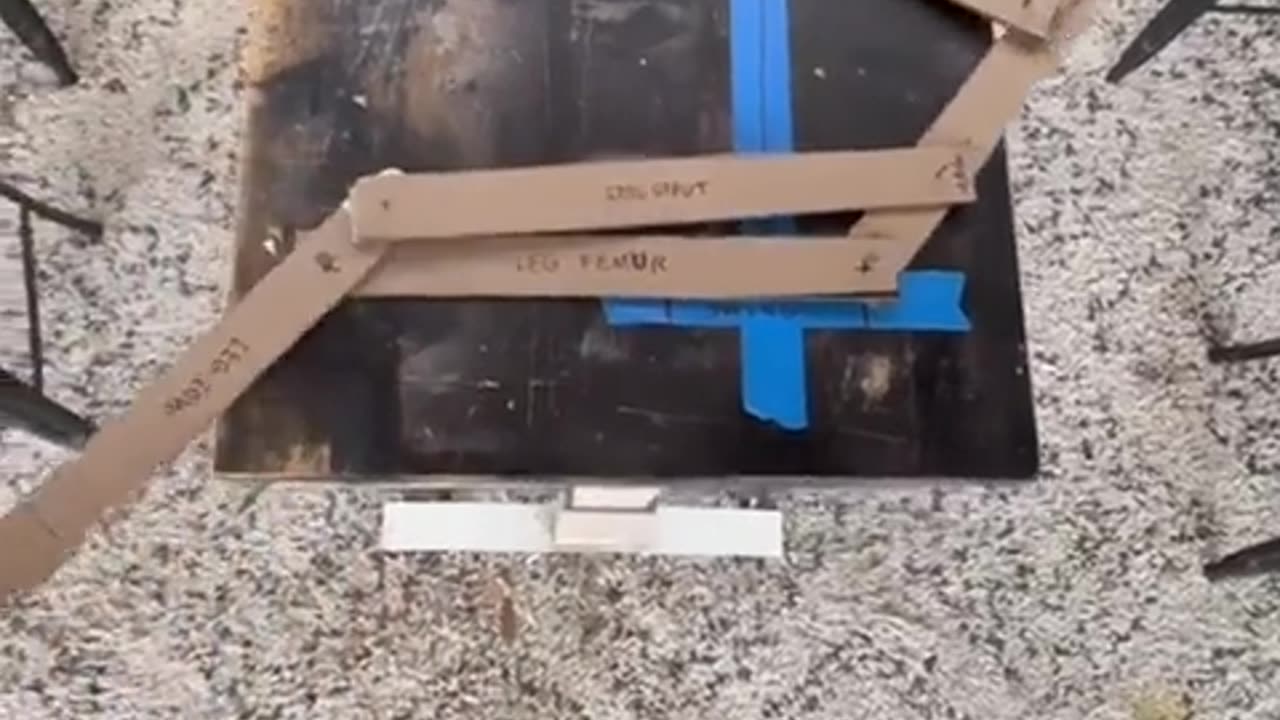 🤯✨ Watch This Headless Zombie Robot Swing! | FeedMyCuriosity