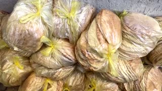 UN says 'shocking' number of Gaza children still acutely malnourished