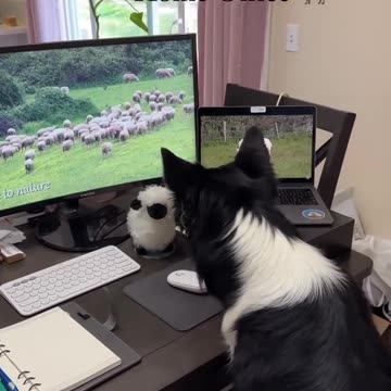 Work from home is just not the same