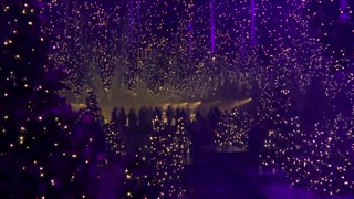 Berlin art installation with ice rink sets the mood for Christmas