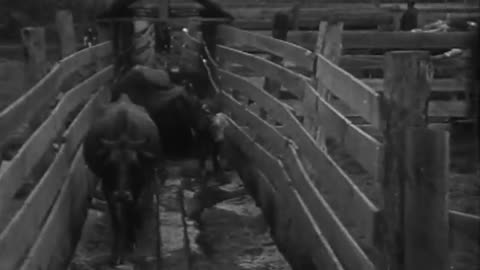 [SCENES IN SOUTH WEST UNITED STATES] - [SCENES IN SOUTH WEST UNITED STATES] - fc-fc-204