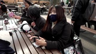 Fans say goodbye to Japan's last pandas before return to China