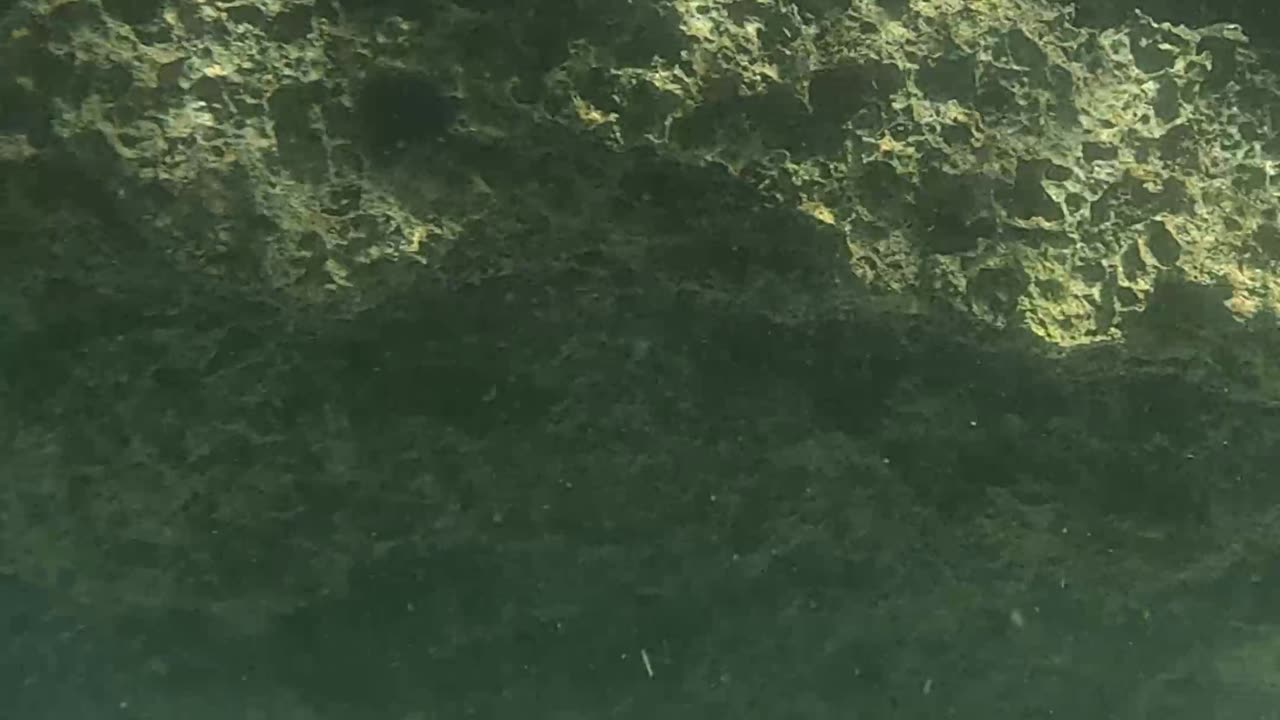 Any Day Snorkeling Is A Good Day!!