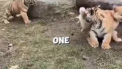 UNEXPECTED😘 FRIENDS SUNDAY 2/8/26