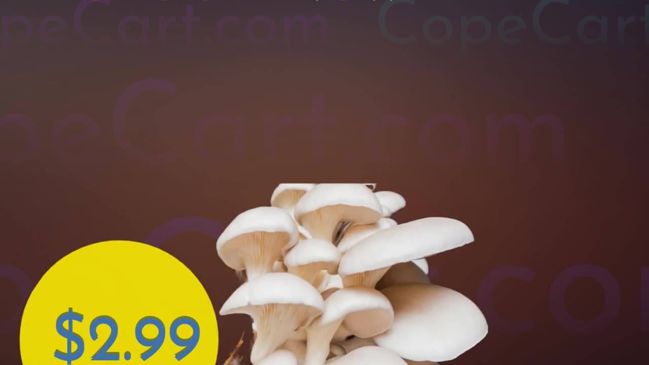 Master Mushroom Farming: Beginner’s Guide to Growing Fungi for Personal and Commercial Success