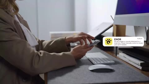 ENOR E1—Your Pet Is Never Alone the AI Companion Robot by enorforce