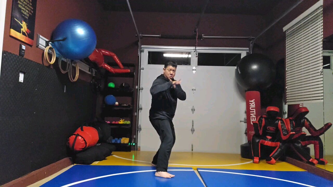 WTD 2 Step Kick Combination 47