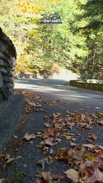 R1 SC Project #r1 #scproject #biker #bikelife