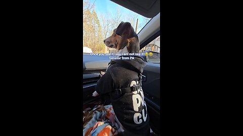 Bo aint no Senator, Son