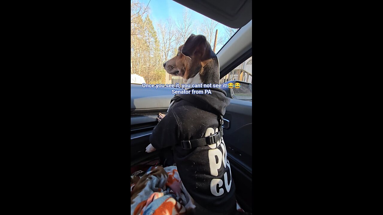 Bo aint no Senator, Son