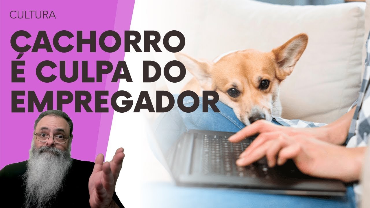 JUSTIÇA do TRABALHO prejudica TRABALHADOR ao CONSIDERAR TUDO CULPA do EMPREGADOR até no HOME OFFICE