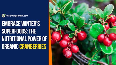 Embrace winter's superfoods: The nutritional power of Organic Cranberries