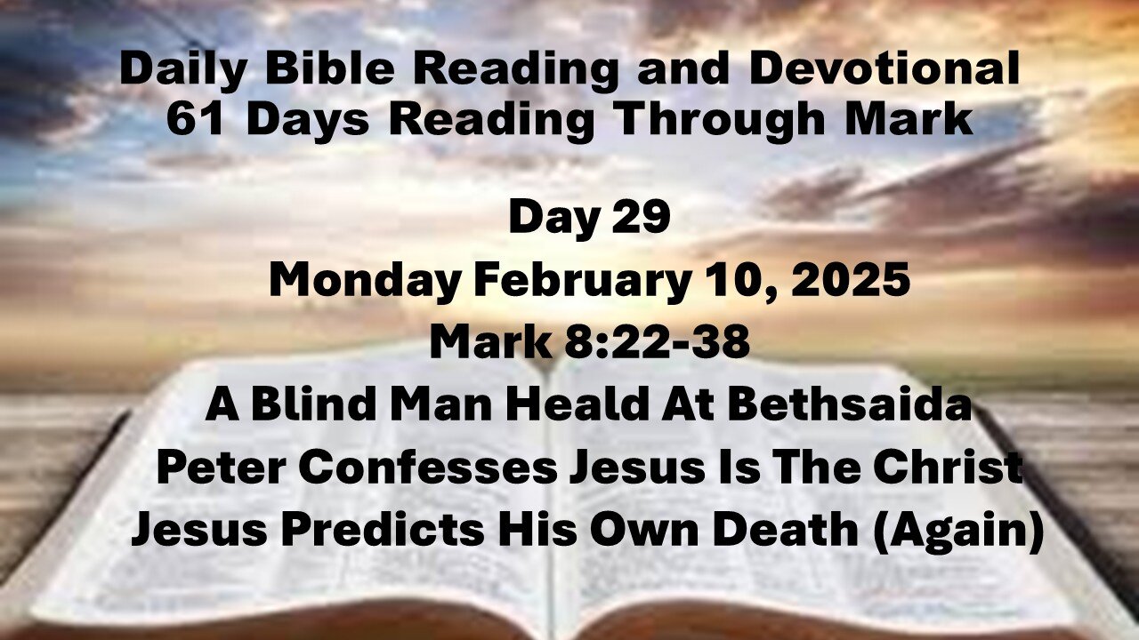 Daily Bible Reading and Devotional: 61 Days reading through Mark.