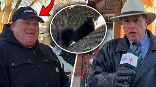 NUTS: Hamilton man receives ticket for feeding peanuts to a squirrel