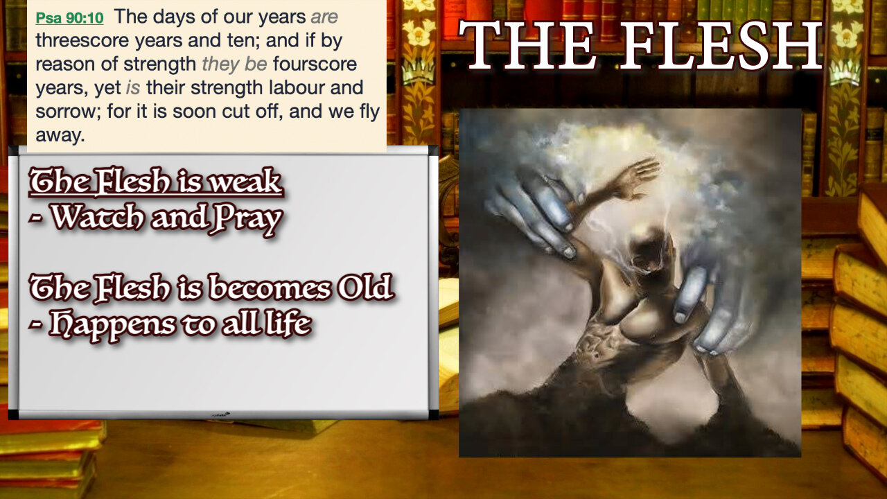 KTA Bible Study on The Flesh