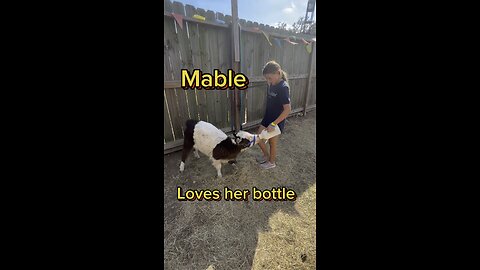 Mable is almost old enough to be weened!