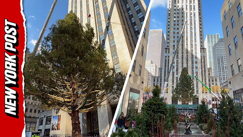 Christmas has officially kicked off at 30 Rockefeller Center as crews erect 11-ton spruce