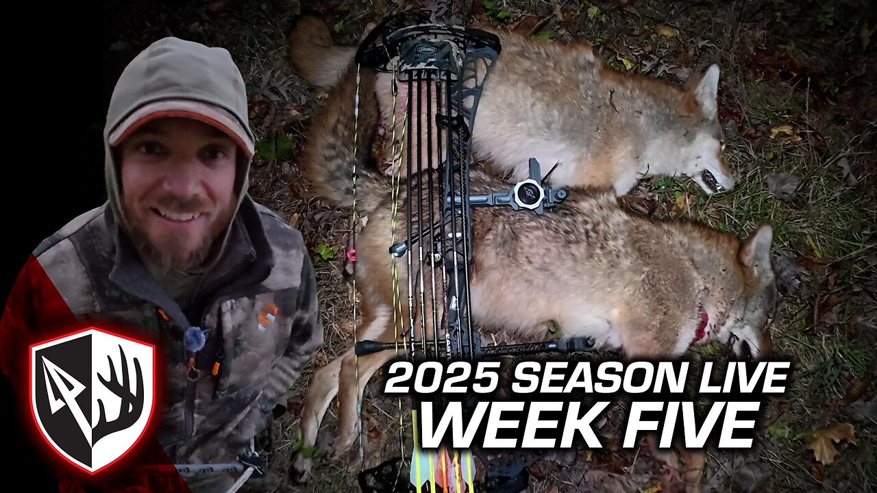 Bucks, Does & Coyotes | Justin’s Most Action-Packed Week Yet!