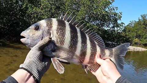 2 Hours of the BEST Sheepshead fishing Ever! Secret Tips and Techniques To Catch More Fish!