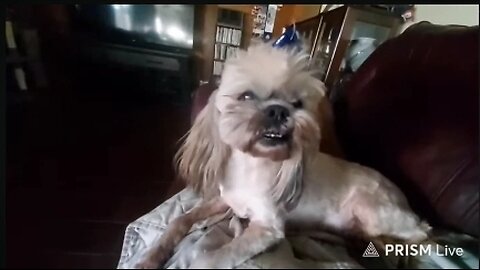 🛑 MIKE STROKEOFF (P1+ W/CHAT CONT. FROM P1) (YT) NEEDS 💰 FOR GAS & ALCOHOL 1-31-26