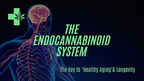 The Endocannabinoid System | A Key To 'Healthy Aging' & Longevity