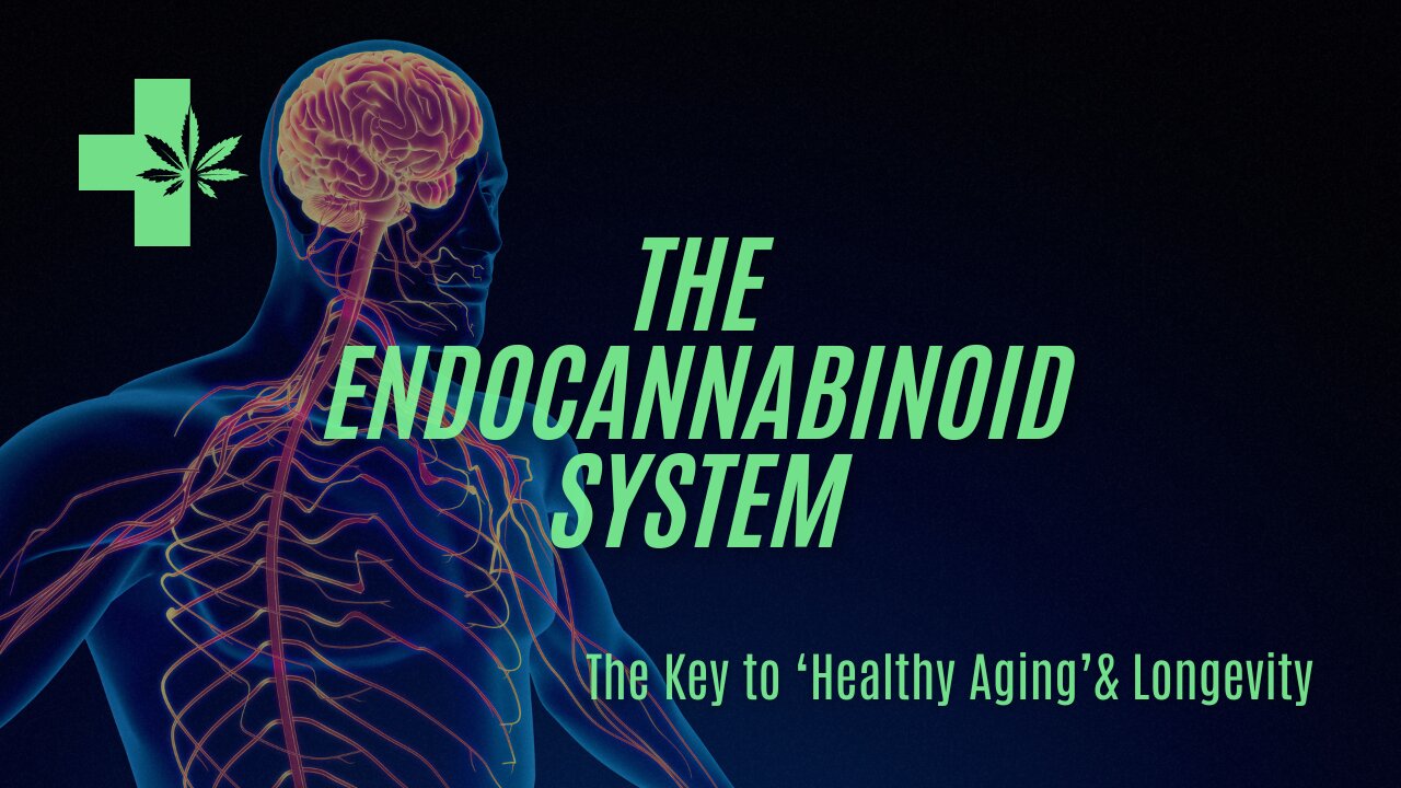 The Endocannabinoid System | A Key To 'Healthy Aging' & Longevity