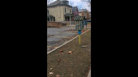 A Yellow and Blue Little Free Library